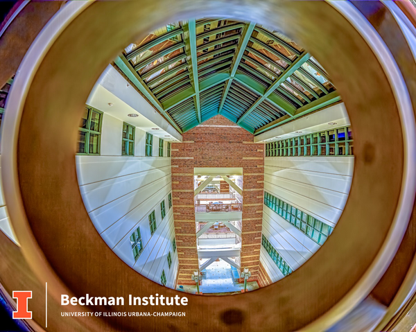 View of the Beckman Institute atrium from the 4th floor bridge