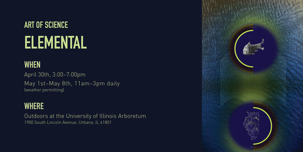 ART OF SCIENCE 11: ELEMENTAL  The IGB’s Art of Science program is a celebration of the common ground between science and art. The works in this installation were created by pairing IGB scientists and their research images with current IGB artist Julia Pollack. Opening April 30th at University of Illinois Arboretum.