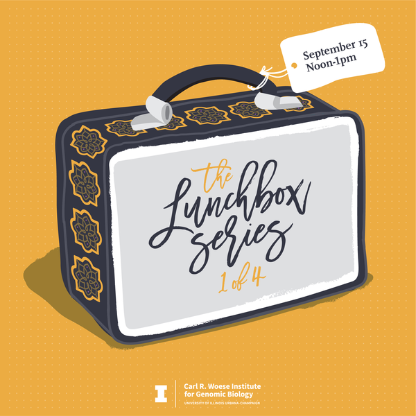 IGB Lunchbox Series
