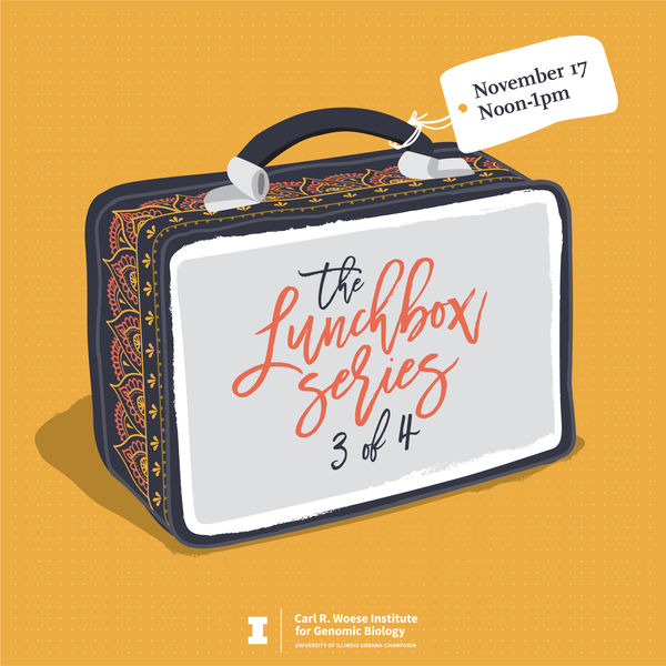 IGB Lunchbox Series