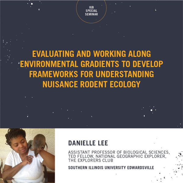 IGB DEI Seminar Series