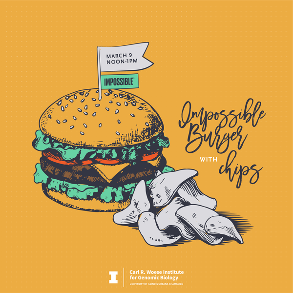 IGB Lunchbox Series