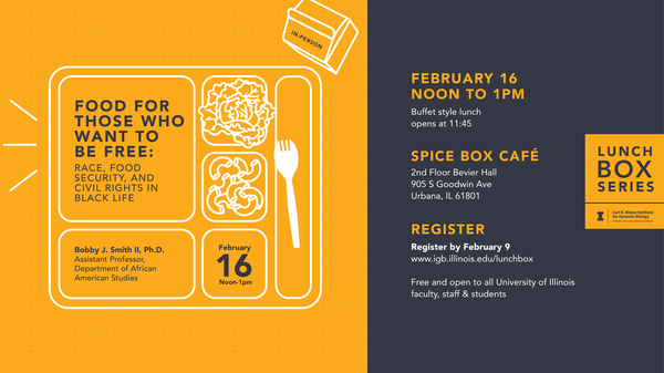 IGB Lunchbox Series