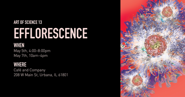 Art of Science 13.0