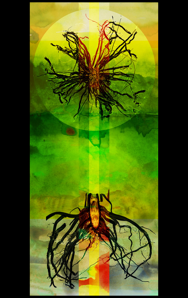 Art of Science 15
