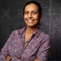 Vidya Madhavan, University of Illinois at Urbana Champaign