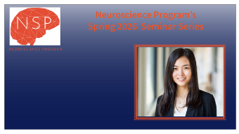 Photo of Associate Professor, Xiao Wang, at MIT Chemistry and Broad Institute of MIT and Harvard