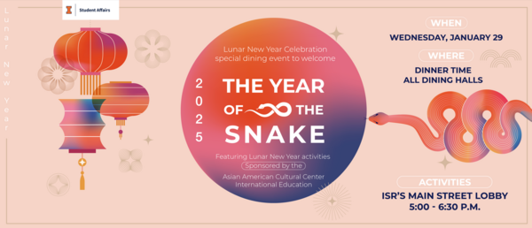 Year of The Snake Flyer