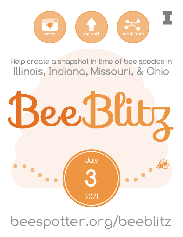 BeeBlitz flier: on July 3, 2021, help create a snapshot in time of bee species in Illinois, Indiana, Missouri, and Ohio