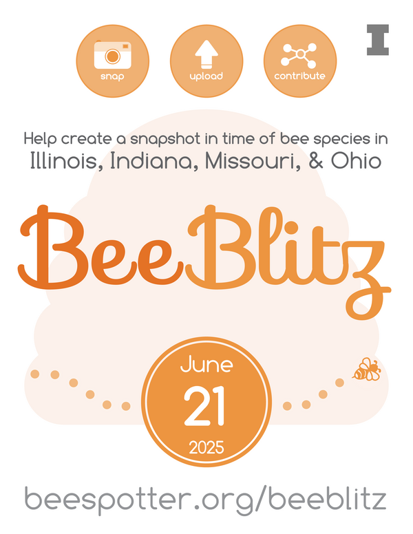 Help create a snapshot in time of bee species in Illinois, Indiana, Missouri, & Ohio - BeeBlitz on June 21, 2025