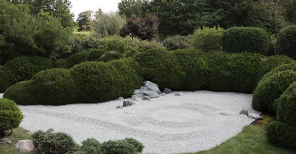 dry rock garden
