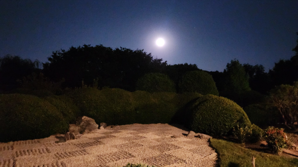 Tsukimi rock garden