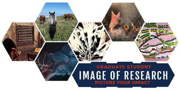 Graphic with previous image of research entries