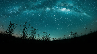 Lyric Under the Stars