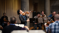Midori Festival Strings