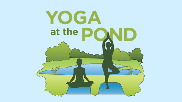 Graphic of people doing yoga in front of a pond