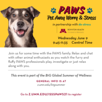 Join us for some time with the PAWS family. Relax and chat with other animal enthusiasts as you watch the furry and fluffy PAWS professionals play, investigate, or just relax along with you.