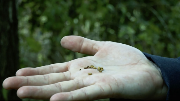 When the Landscape Recognizable Today Was Shaped, 2025. Video still. Courtesy of the artist. © Ryan Griffis.