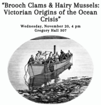 Brooch clams & Hairy Mussels, Wed. Nov. 20 at 4 pm in Gregory Hall