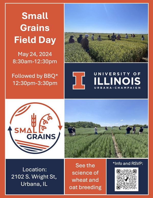 Flier announcing the Small Grains Field Day, May 24, 2024 from 8:30 AM-12:30 PM at 2102 S. Wright St, Urbana, IL. See the science of wheat and oat breeding. Followed by a barbecue lunch. See registration link below.