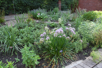 The Herb Garden at Allerton Park and Retreat Center