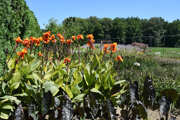 Allerton Formal Gardens