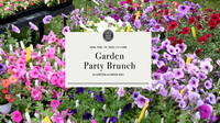 Garden Party at Allerton