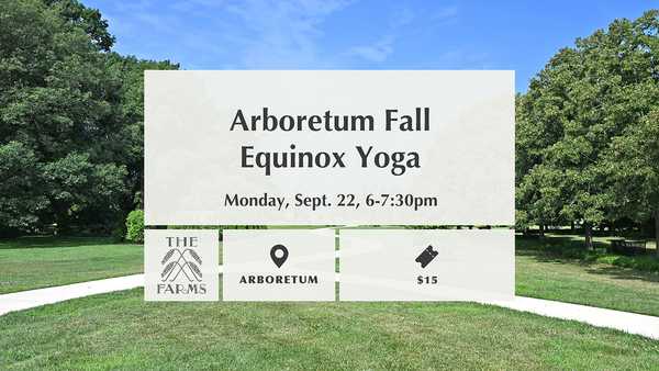 Fall Equinox Yoga