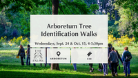 Tree ID walks
