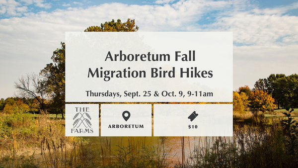 Fall bird hikes
