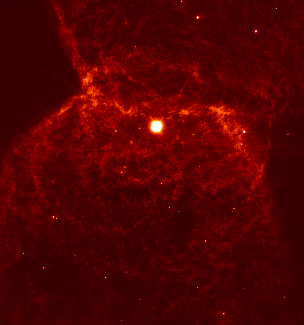 Stanghellini