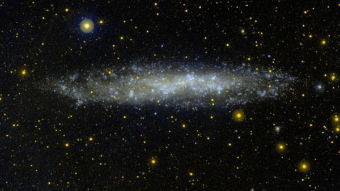 Cosmic Structure as a Discovery Machine for Primordial Particle Physics