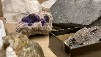 Mineral samples in display boxes.