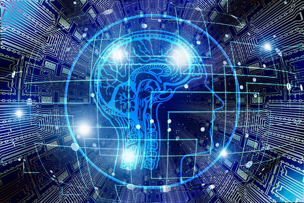 Illustration of a network that includes a brain