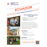 Program Flyer