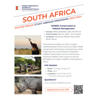 Program Flyer