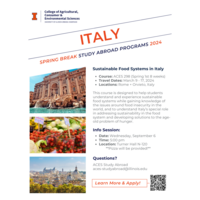 Program Flyer