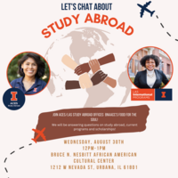 Program Flyer