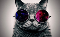 aaa