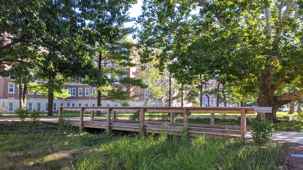 A wooden bridge spans perennial plantings in front of large trees in the Red Oak Rain Garden