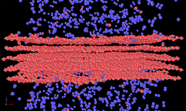 This is alternative text for the image