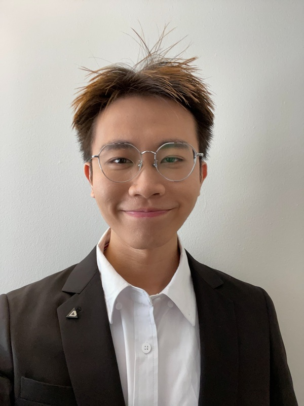 Engineering Crafted Matter for Functional Metamaterial Systems