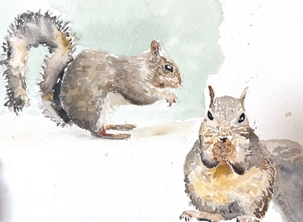 Water color painting of two squirrels