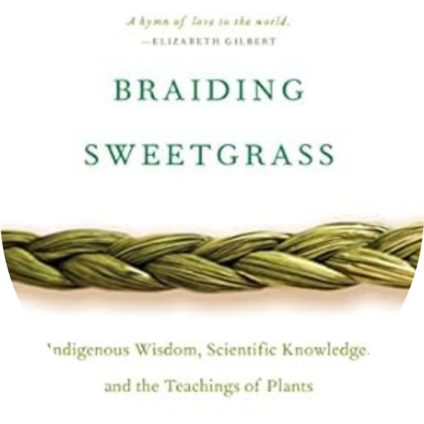book cover of Braiding Sweetgrass by Robin Wall Kimmerer
