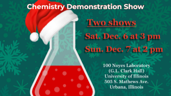 Image of the event poster that says Holiday Magic Show with a flask and Santa hat