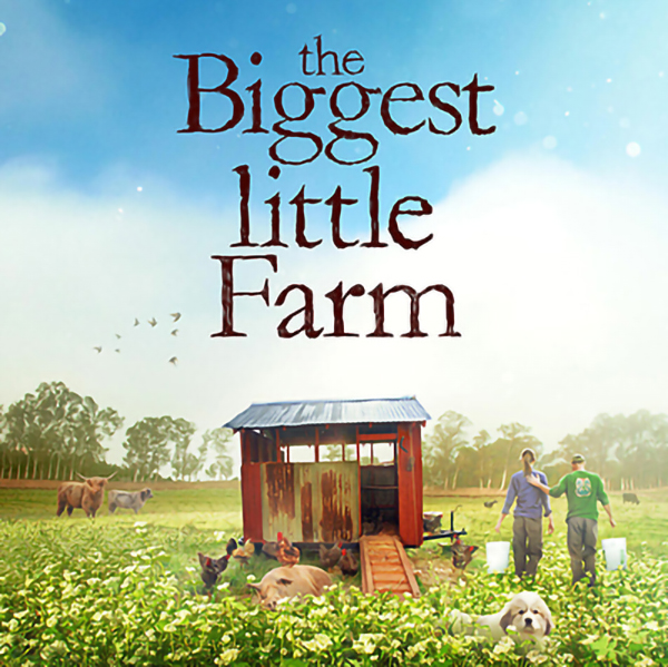 THE BIGGEST LITTLE FARM show image featuring multiple animals and a shed in a grassy pasture