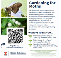 Gardening for Moths: Presented by Kim Rohling