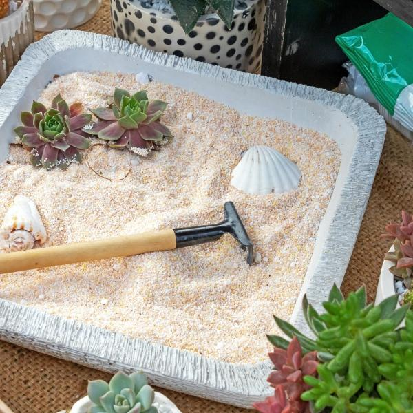 A small tabletop Zen garden with sand, succulents, seashells, and a miniature rake arranged in a decorative tray.