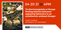 seminar flyer