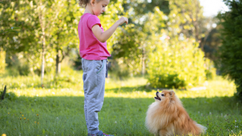 A young girl telling her dog to sit.